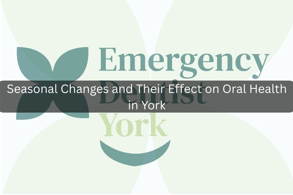 Seasonal Changes and Their Effect on Oral Health in York